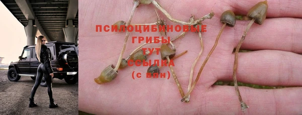 apvp Алексеевка