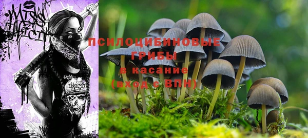 apvp Алексеевка