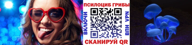 Псилоцибиновые грибы мицелий  Борзя 