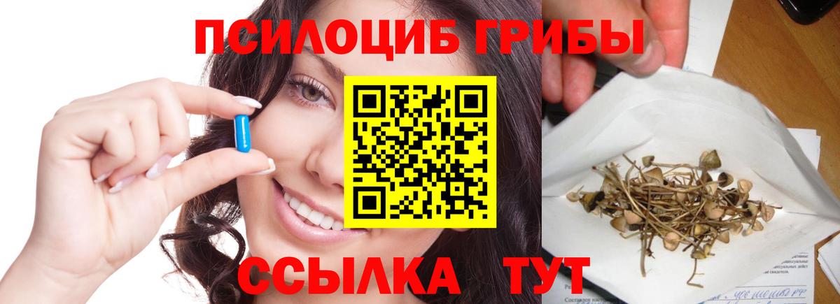 Галлюциногенные грибы MAGIC MUSHROOMS  Псилоцибиновые грибы ЛСД  Вход с VPN  Борзя 
